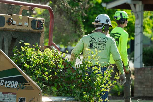 Oregon Woodsmen crew feeding brush into the chipper