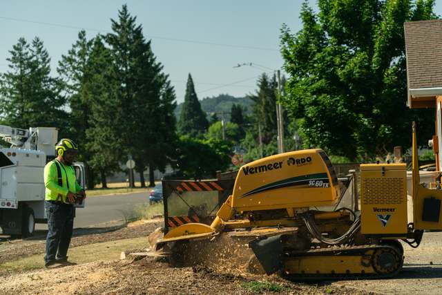 Stump grinder at work
